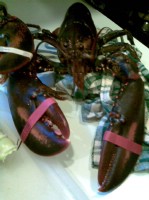 lobster-2.jpg